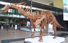 Amargasaurus   Модель частини чеського Конепрусскіе скелі з декількома сотнями точних копій безхребетних тварин є унікальним проектом, в основу якого покладена колекція французького палеонтолога Йоахима Барранд, що зберігається в Національному музеї