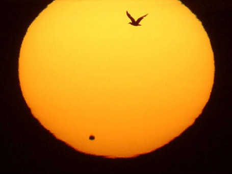Цієї ночі земляни отримають унікальну можливість спостерігати за 7-годинним проходом Венери по диску Сонця
