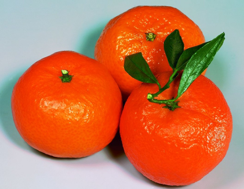 Ароматні солодкі мандаринки можуть стати першими цитрусовими, які спробує ваш малюк