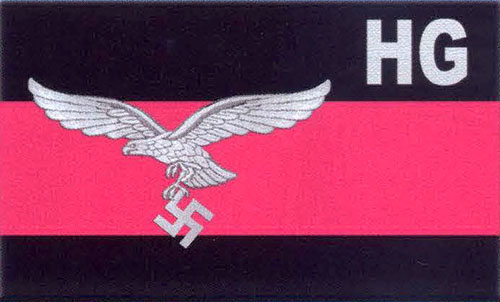 Зародком ВДВ люфтваффе став полк «Герман Герінг», в якому діяли такі ж правила, як і в СС