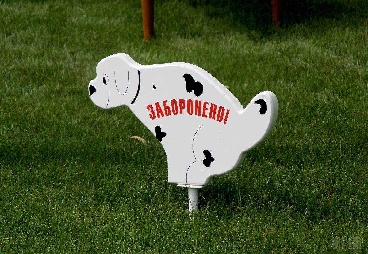 Загальна вартість дог-майданчиків складе більше 23,5 млн грн