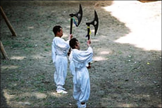 Японський масакарі мав, як правило, довгу рукоять і був, в общем-то, древкового зброєю