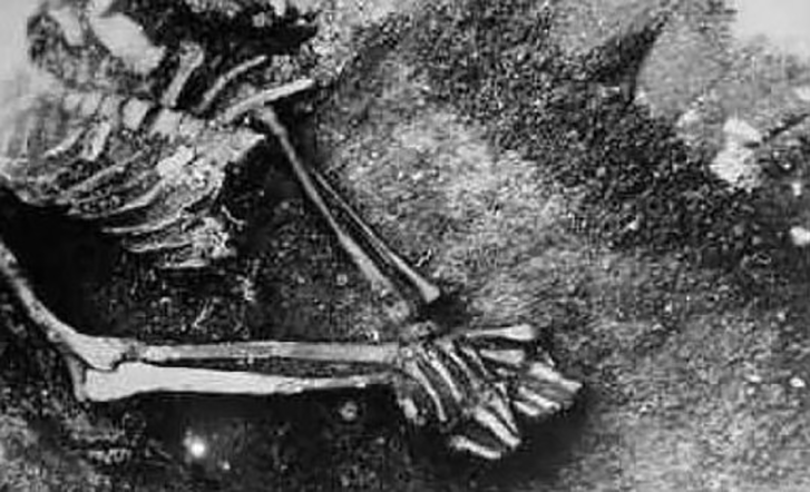 Челаковице, Чехія