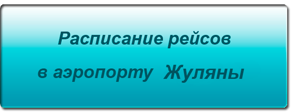 Термінал D був запущений в 2013 році для обслуговування прилітають рейсів внутрішнього сполучення