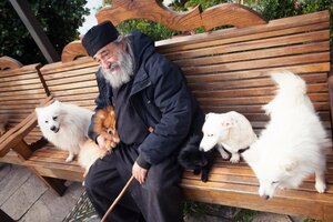 Життя людини завжди супроводжували тварини