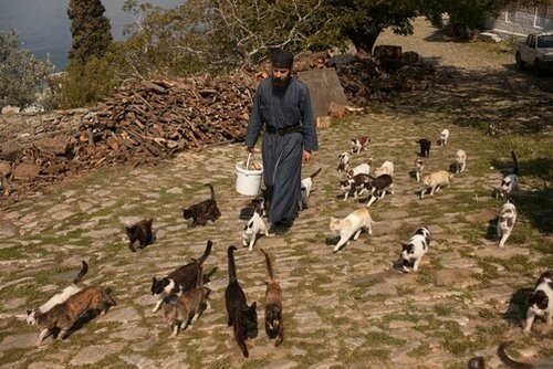 (Преподобний Паїсій Святогорець)