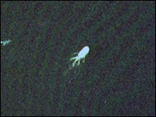 Сєва Новгородцев   Російська служба Бі-бі-сі   Почну з історичної довідки з інтернету