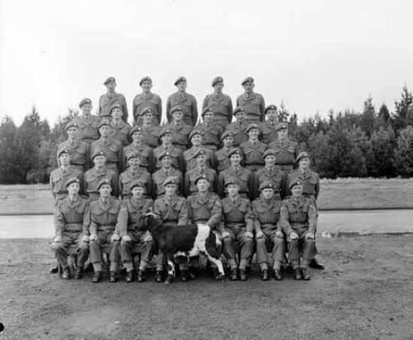 Кожне підрозділу має свою спеціалізацію: одне призначене для дій в гірській місцевості (mountain troop), інше на наземних спецзасоби (mobility troop), третє виводиться в тил противника по повітрю (air troop), четверта - по воді (boat troop)