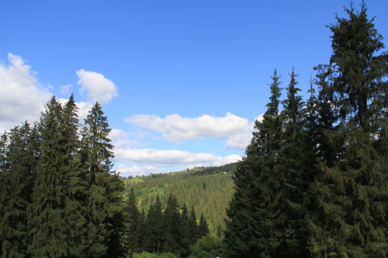 Саме так мені запам'яталося цей час: нескінченність синього неба серед зеленого моря ялин