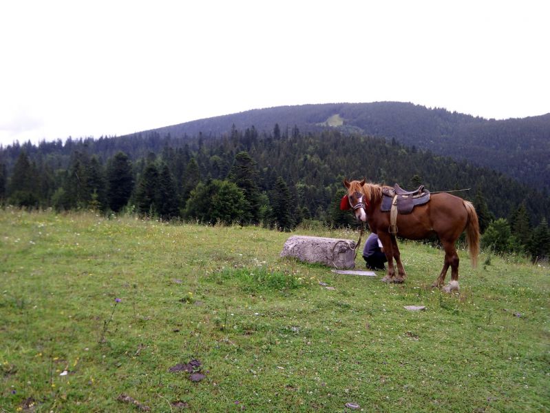Під час походу на П'ятихатки