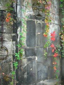 Ольшанське кладовище (Фото: Штєпанка Будкова, Чеське радіо - Радіо Прага)   - Звичайно може