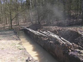 - У казці побували середньовічної