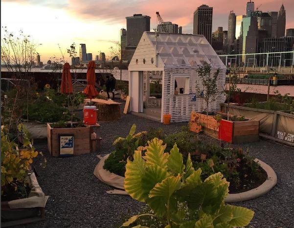 Але цілі організатора проекту Мері Маттінглі (Mary Mattingly) виходять далеко за рамки того, щоб пояснювати і показувати городянам як вирощують гриби і помідори для рагу