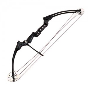 В епоху нано-технологій для захоплюючого і захоплюючого відпочинку все більшу популярність завойовує полювання з блоковим луком, який є вершиною конструктивної думки і який, за порівняно нетривалий час, завоював повагу і любов безлічі людей