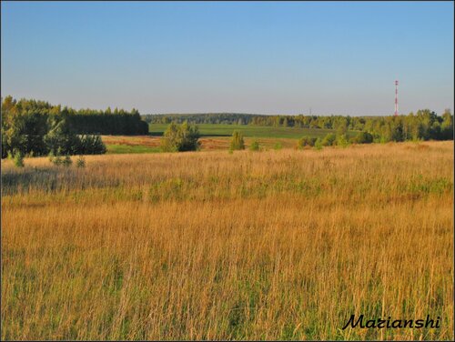 Подивимося