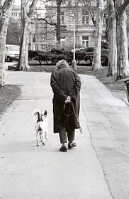 Чеська пенсійна система схожа на фінансову піраміду