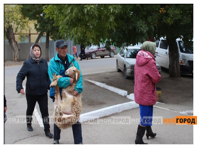 Слово курбан на арабській мові означає наближення, тобто наближення до Аллаха за допомогою духовного очищення і здійснення благих справ