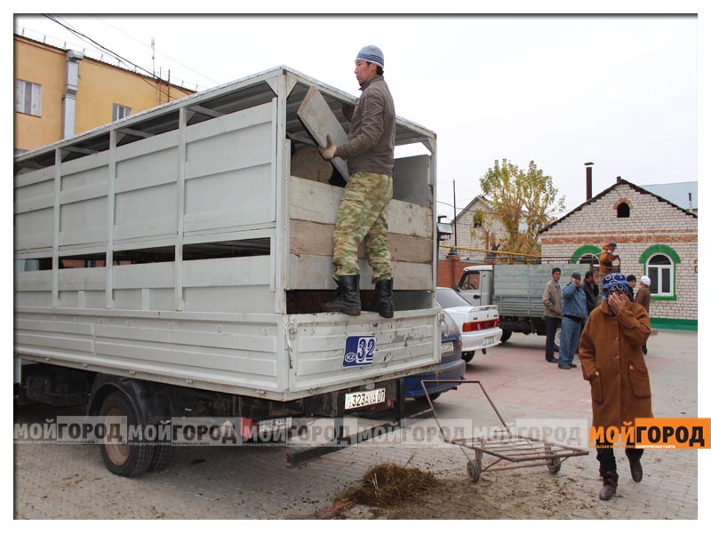 Баранов можна було придбати практично тут же