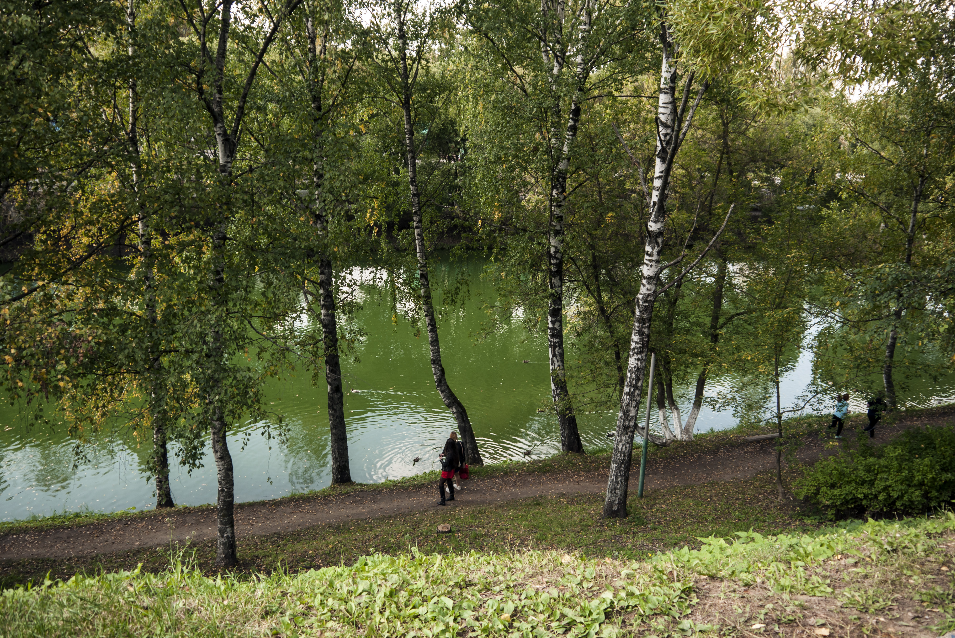 Біля ставка висунулася казкова зелена рука, на її теплою долоньці школярі відпочивають після пробіжки