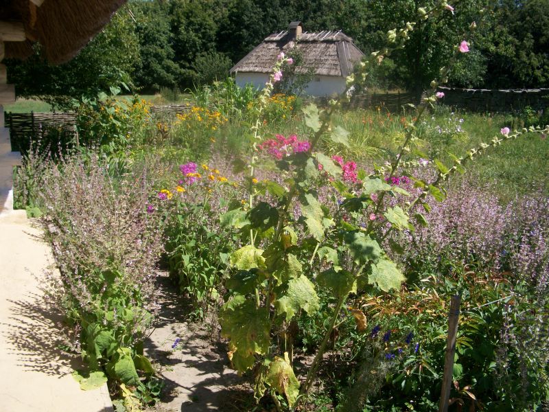 Пирогов, в Музей народної архітектури і побуту