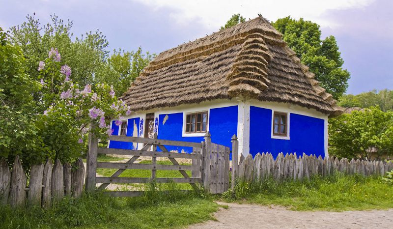 Джерело фото: lori