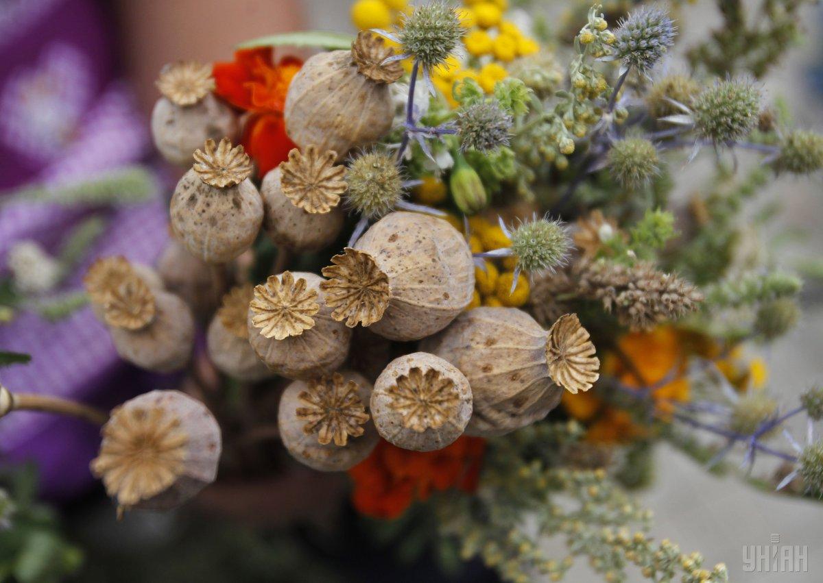 З приходом серпня українці чекає відразу три великих релігійних свята - Медовий, Яблучний і Горіховий Спас