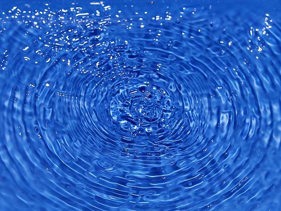 джерело:   rosbalt