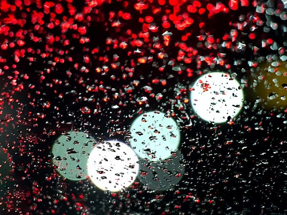 джерело:   rosbalt