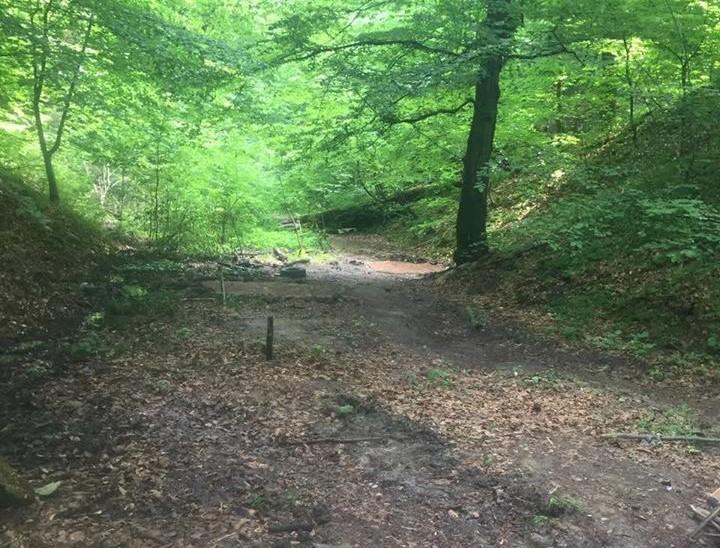 У поліції стверджують, що заяв від потерпілих не надходило