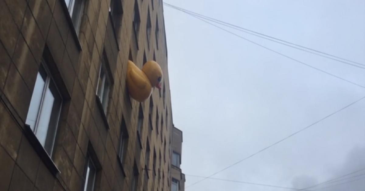 Качка є одним із символів розслідування ФБК «Він вам не Дімон» про прем'єр-міністра Дмитра Медведєва