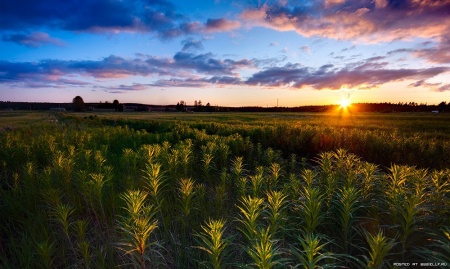 Американський вчений-геолог Холл залишив яскраве свідчення про взаємини науки і релігії: Так як Біблія була написана не з метою навчити людей природної історії і фізичних наук, а призначалася спочатку для жителів східних країн, незнайомих з результатами сучасних досліджень, то і мова її, при викладі предметів природничого знання такий, яким він і повинен бути, щоб узгоджуватися з поняттями, властивими тим, до кого звернена мова