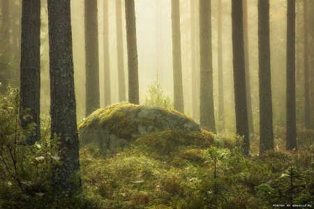 Славетний вчений нашого часу, Макс Планк, в 1918 році отримав Нобелівську премію з фізики (1858-1947), професор фізики Берлінського університету, засновник квантової теорії: «Куди б ми не звертали наші погляди, яким би не був предмет нашого спостереження, ми ніде не знаходимо суперечності між наукою і релігією;  ми швидше констатуємо їхню абсолютну гармонію в основних пунктах, особливо в області природознавства