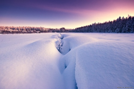 З лекції нейрофізіолога Джона Екклза (рід