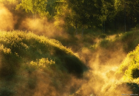 Іоанн Рейн (1849-1931) професор ботаніки в Геттінгенському університеті, якому Боннській університет за его богословські знання прісвоїв звання «Гонорис кауза», а Кельнській - ті самє звання за медичні праці, залиша запису: «Наше серце НЕ может найти Спок, поки НЕ заспокоїться в Бозі »