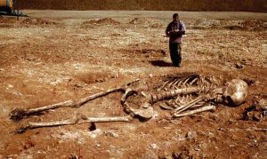 Уважно придивившись до відбувається в наші дні: поширення культу Люцифера, різного роду генетичні експерименти зі створення гібридів людей і тварин, які з колись секретних лабораторій перемістилися в урядові науково-дослідні центри, починаєш розуміти, що все це спрямовано проти Божого творіння, ми знову живемо, як в дні Ноя