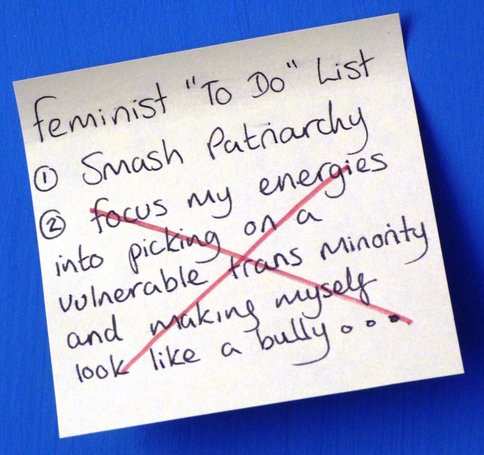 TERF - скорочення, в перекладі на російську означає «транс-ексклюзивний радикальний фемінізм»