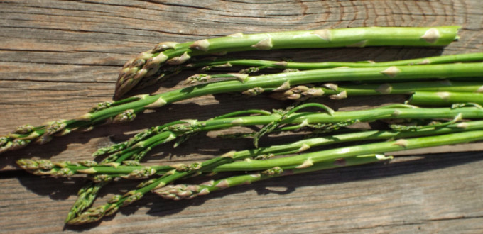 При цьому, спаржа - досить поживний продукт, з високим вмістом білка