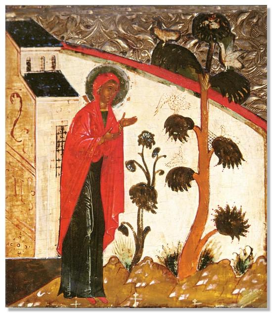 Бідна жінка гостро відчувала свою провину за те, що в їхній родині немає дітей