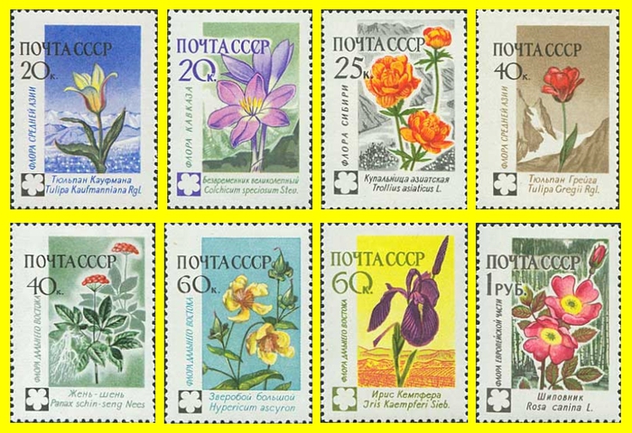 Лілія кучерява є рідкісним видом флори Уралу [9], занесена в регіональну зведення Сибіру (1980), зведення рідкісних рослин по Центральному Сибіру (1979) і в Червону книгу Республіки Марій Ел (1997)