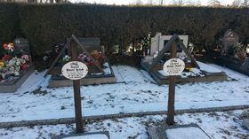 Кладовище в Распенава, Фото: Івана Бернатова, Чеське радіо   Наприклад, цікава археологам може бути і ДНК Яни Гайнзловой з селища Гейніце, яка відбувається з змішаної чесько-німецької сім'ї