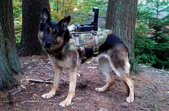 Ось як це виглядає в реальності