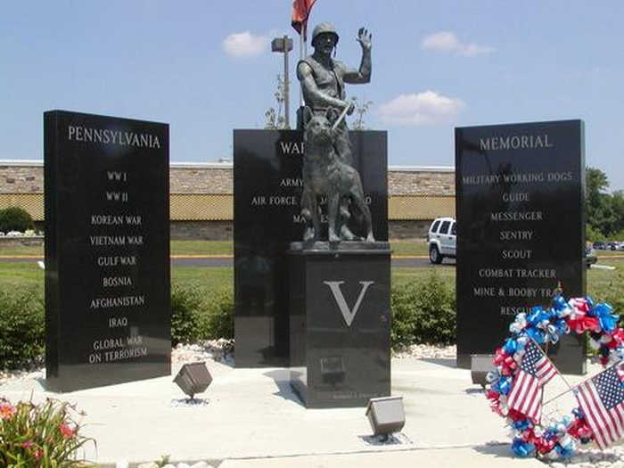 бойові собаки