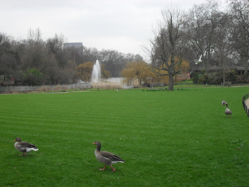 Далі вулиця Мелл проходить між двома парками - Грін-парком і Сент-Джеймс-парком