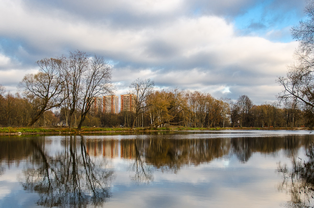 Довжина річки близько 100 кілометрів, Лопасня є притокою Оки