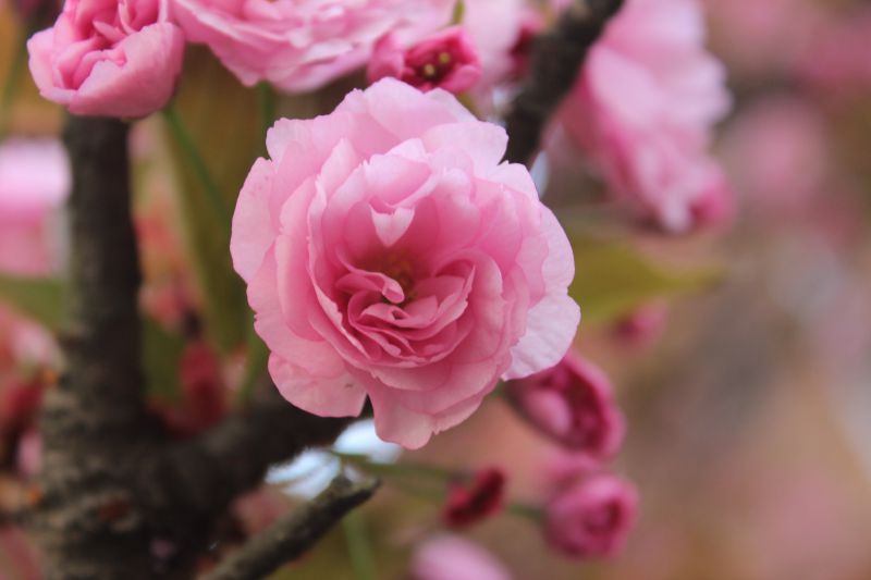 Автор фото: Anna Semeniuk, IGotoWorld Photo Group