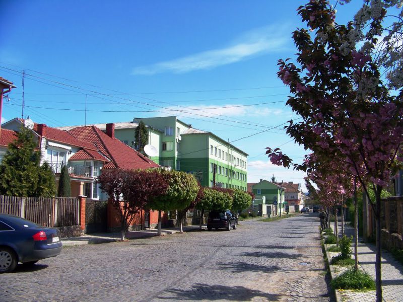 Джерело фото: kartagoroda