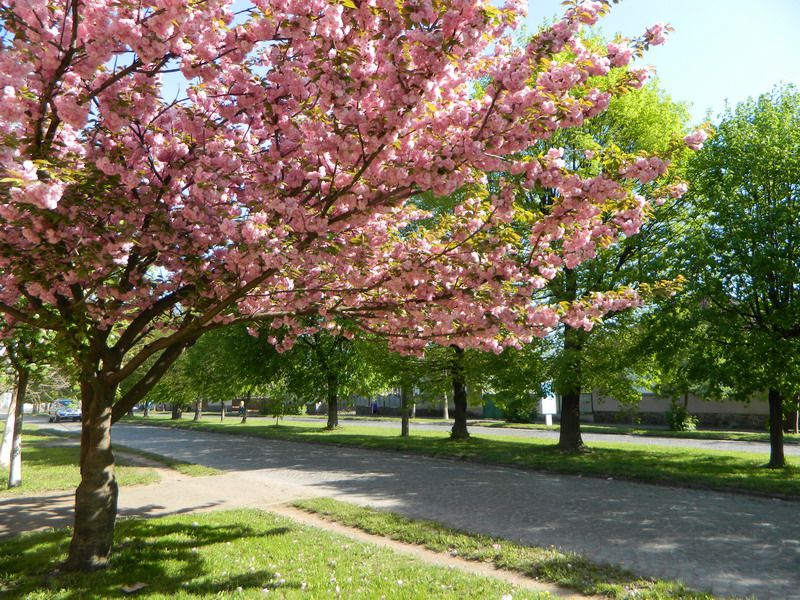 Джерело фото: ua-travels