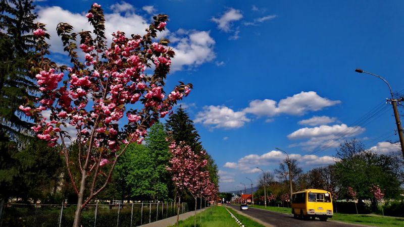 Джерело фото: kartagoroda