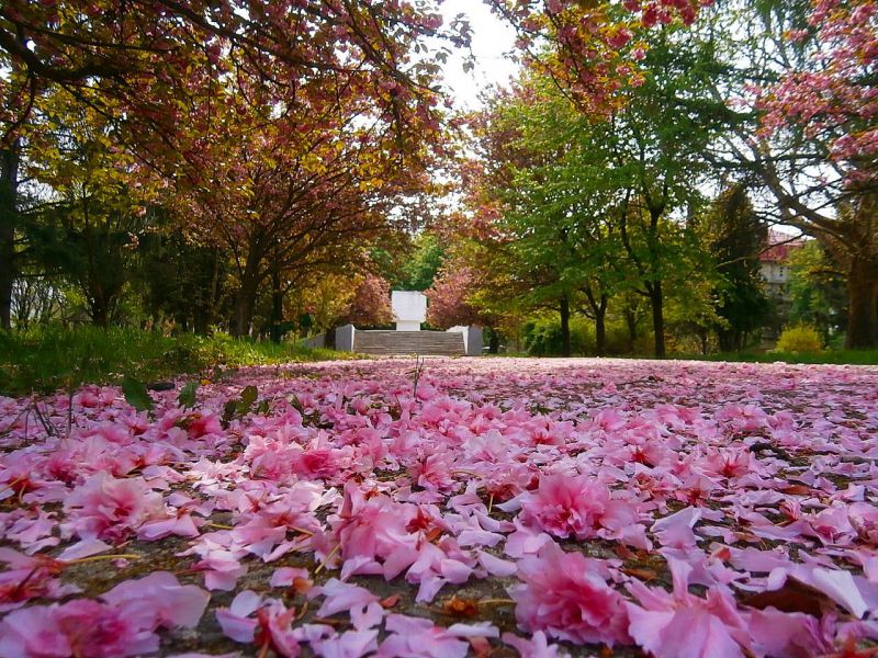 Джерело фото: vk