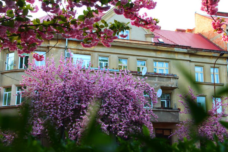 Автор фото: Anna Semeniuk, IGotoWorld Photo Group